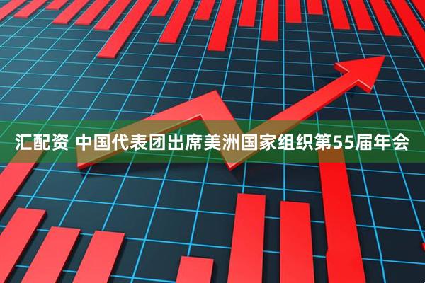 汇配资 中国代表团出席美洲国家组织第55届年会
