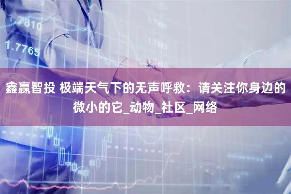 鑫赢智投 极端天气下的无声呼救：请关注你身边的微小的它_动物_社区_网络