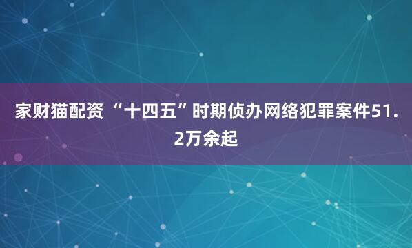 家财猫配资 “十四五”时期侦办网络犯罪案件51.2万余起