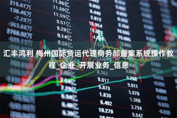 汇丰鸿利 梅州国际货运代理商务部备案系统操作教程_企业_开展业务_信息