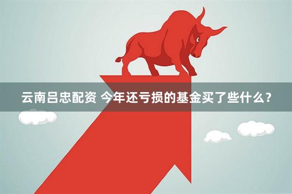 云南吕忠配资 今年还亏损的基金买了些什么？