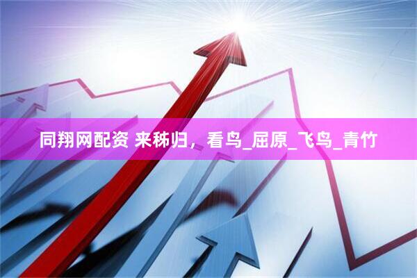 同翔网配资 来秭归，看鸟_屈原_飞鸟_青竹