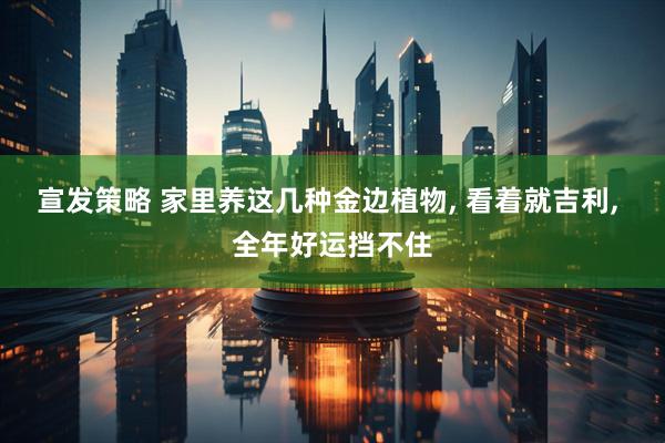 宣发策略 家里养这几种金边植物, 看着就吉利, 全年好运挡不住