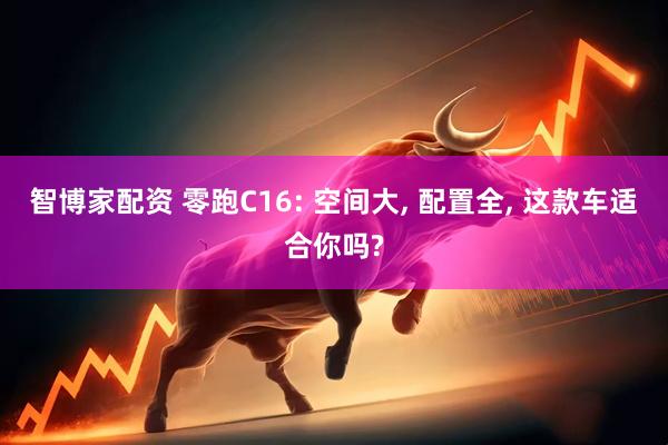 智博家配资 零跑C16: 空间大, 配置全, 这款车适合你吗?