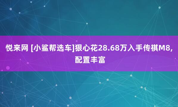 悦来网 [小鲨帮选车]狠心花28.68万入手传祺M8, 配置丰富