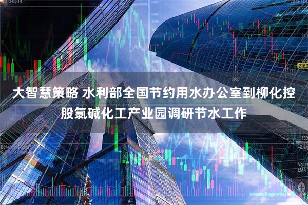 大智慧策略 水利部全国节约用水办公室到柳化控股氯碱化工产业园调研节水工作