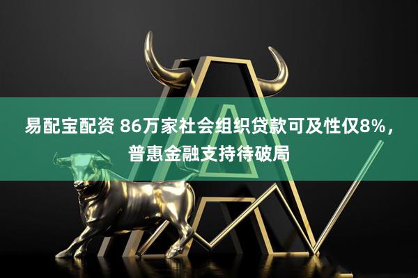 易配宝配资 86万家社会组织贷款可及性仅8%,普惠金融支持待破局